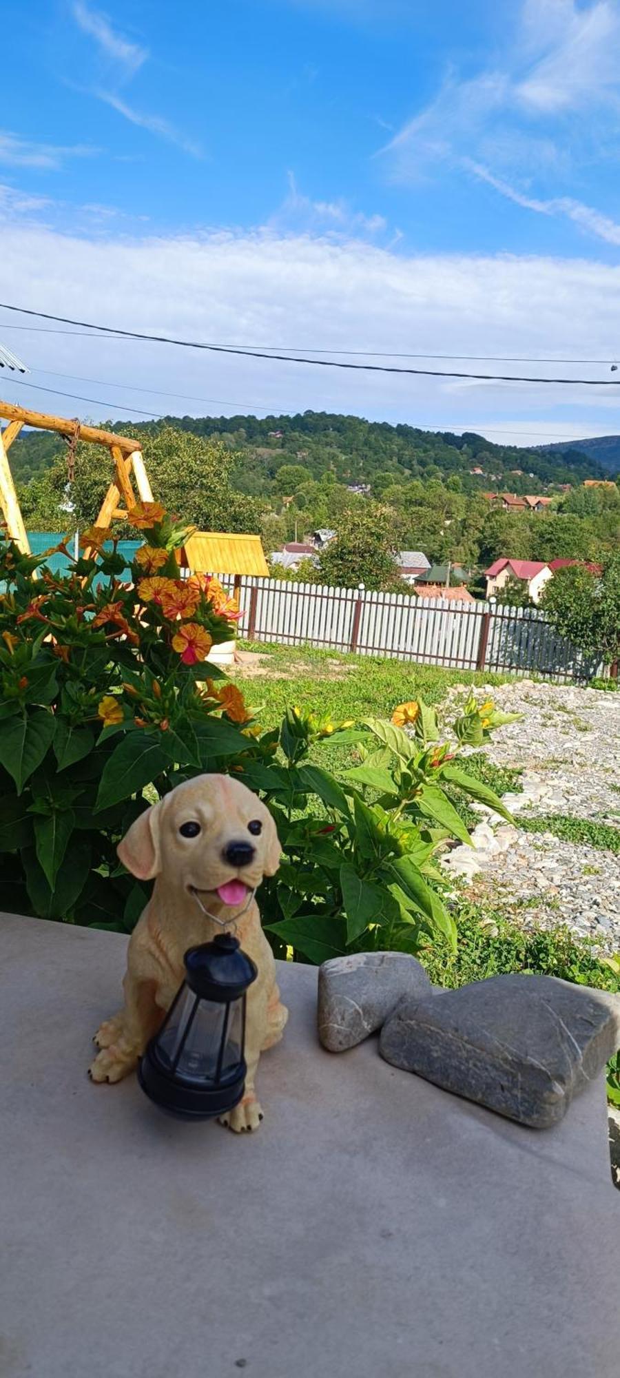 Casuta Din Livada Villa Secaria Kültér fotó